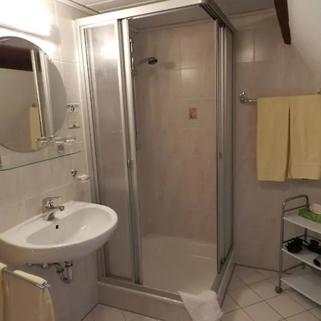 Adler Guest house 3*