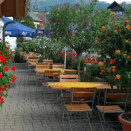 Gasthof Adler 게스트하우스 3*