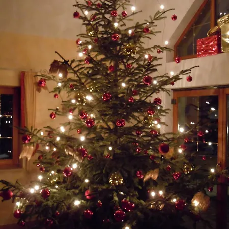 בית הארחה Adler