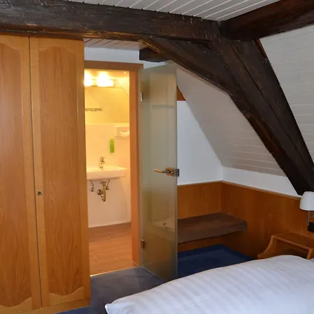 Gasthof Adler 3* 잘렘