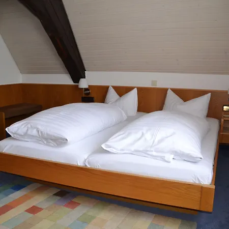 Adler בית הארחה