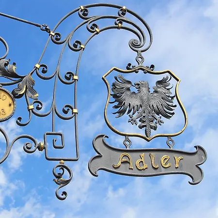 게스트하우스 Gasthof Adler 잘렘