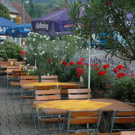 Gasthof Adler 게스트하우스 잘렘