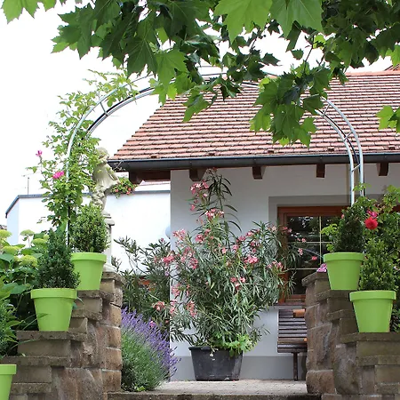 Adler בית הארחה זאלם