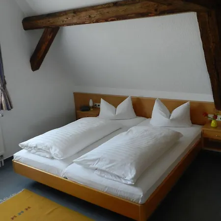Guest house Adler Salem (Baden-Wurttemberg)