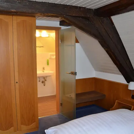 Gasthof Adler 게스트하우스 3*